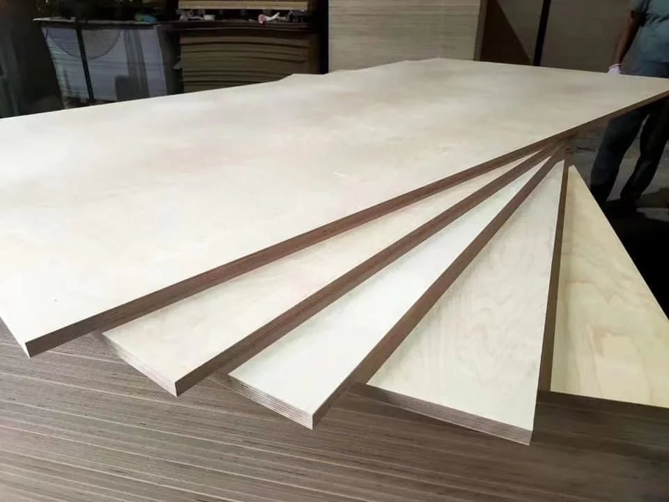 Birch plywood