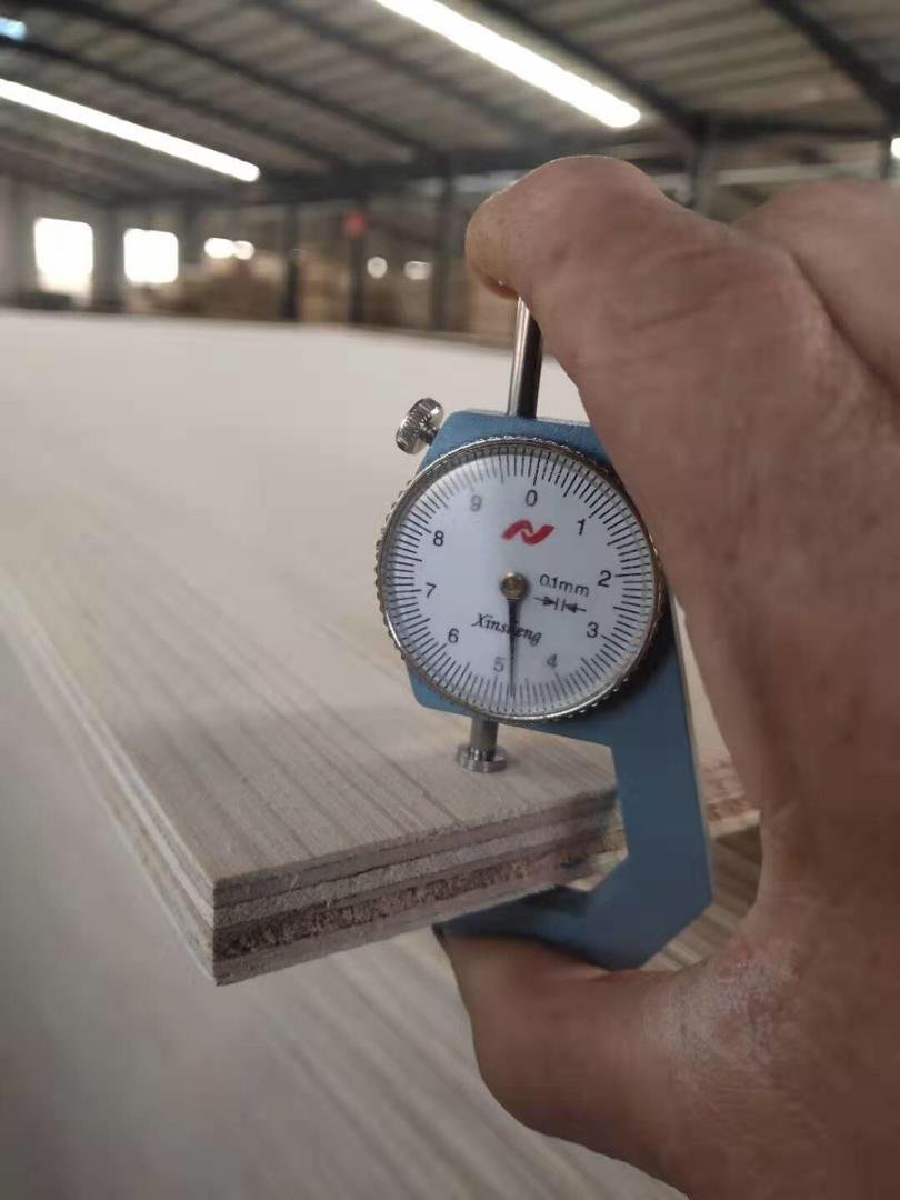 China ACEALL Caravan Light Plywood Polyester Plywood PVC Plywood PVC Foam Board