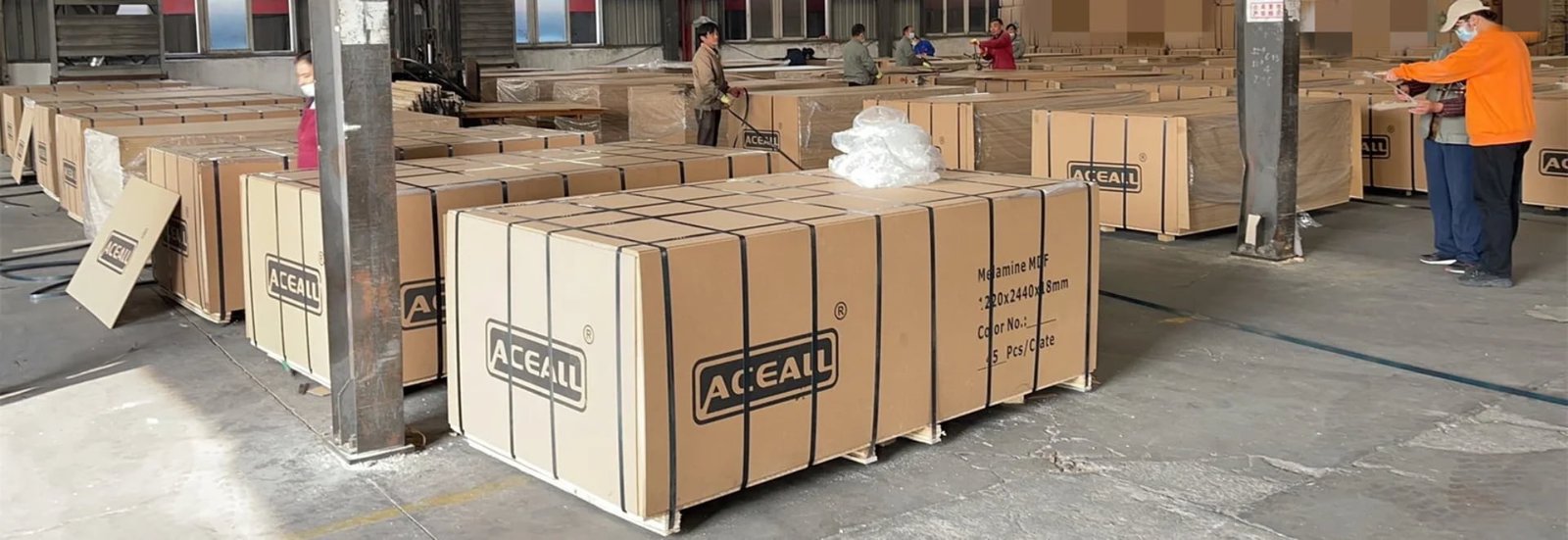 ACEALL plywood export operations