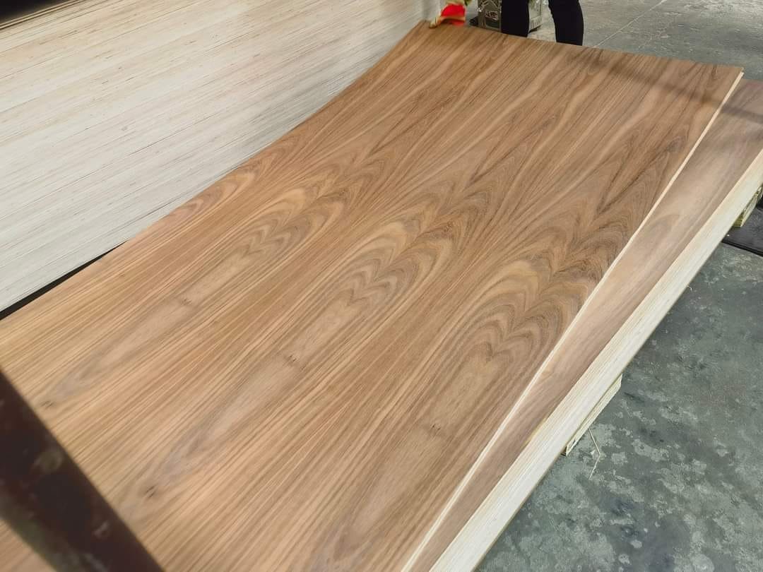 Veneer plywood