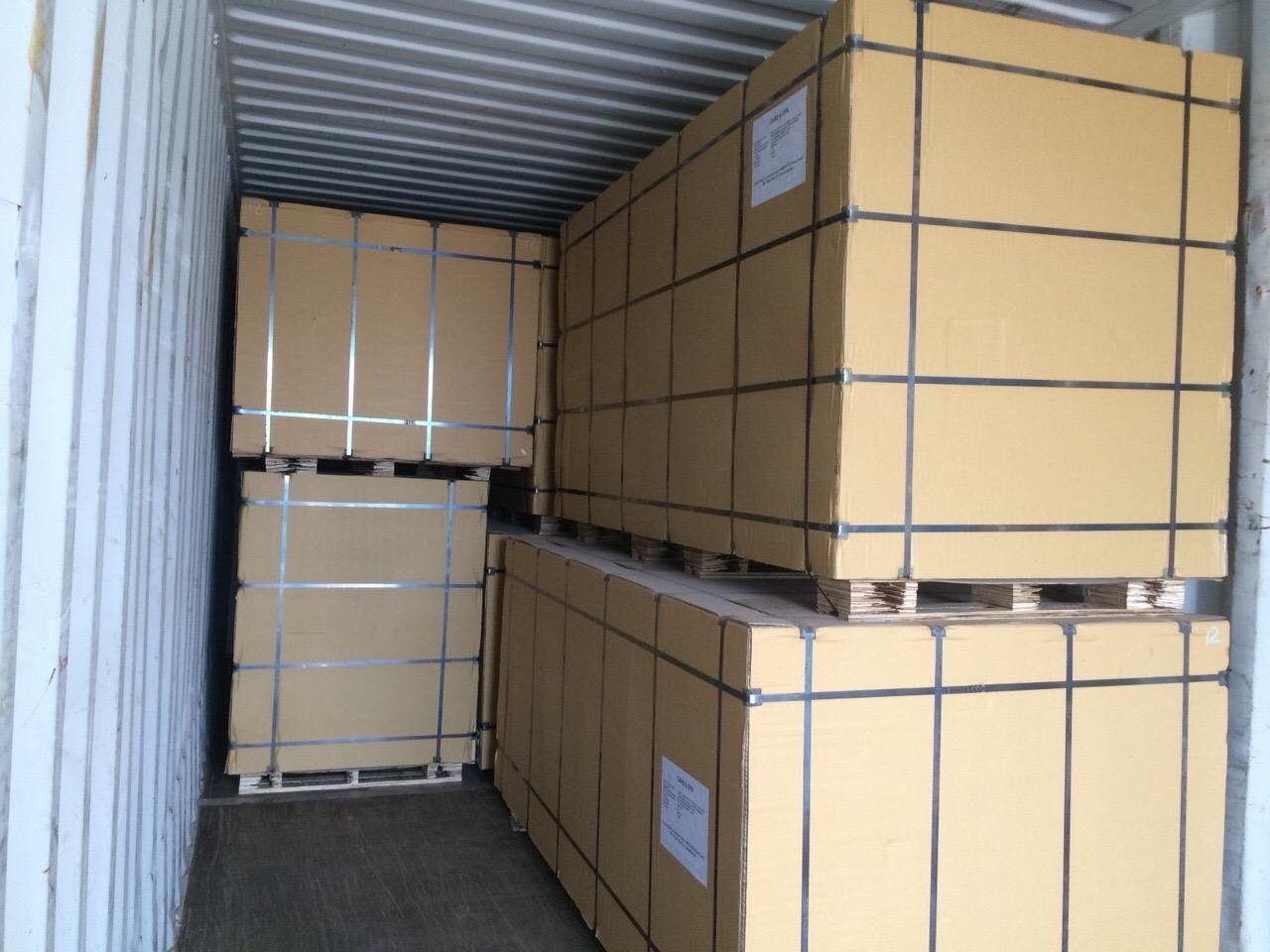 Packed plywood bundles loaded inside shipping container ready for export logistics