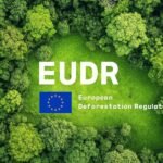 A Step-by-Step Buyer's Guide: EUDR-Compliant Plywood from China – by ACEALL