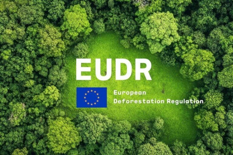 A Step-by-Step Buyer’s Guide: EUDR-Compliant Plywood from China – by ACEALL