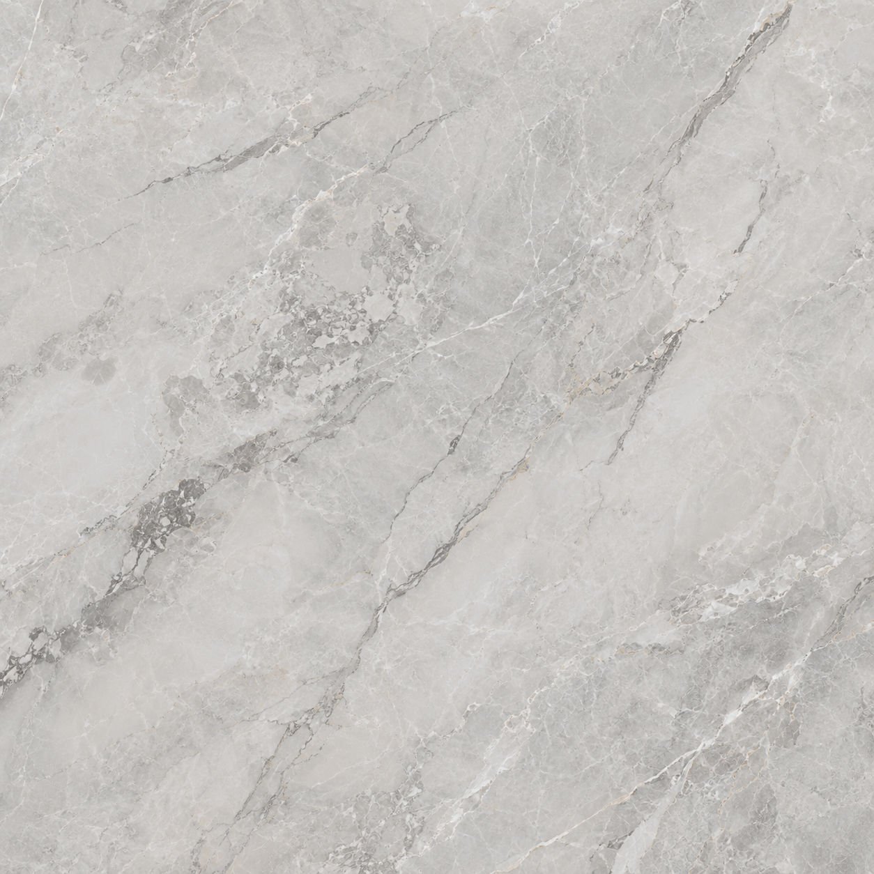 Grey Marble Texture