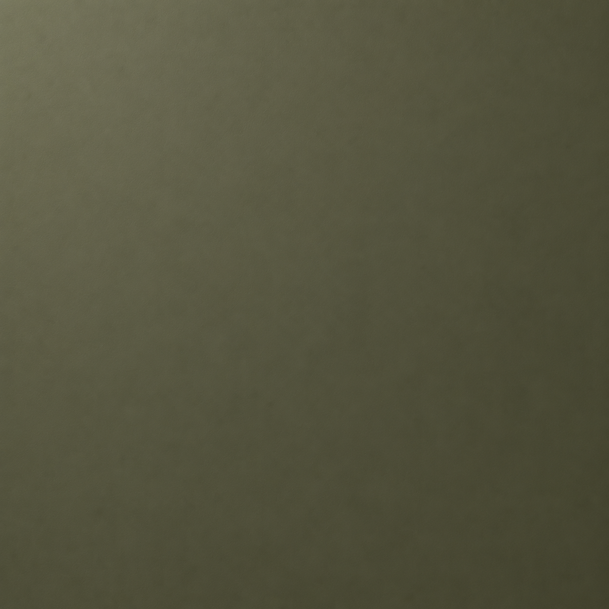 Olive Green PET Texture