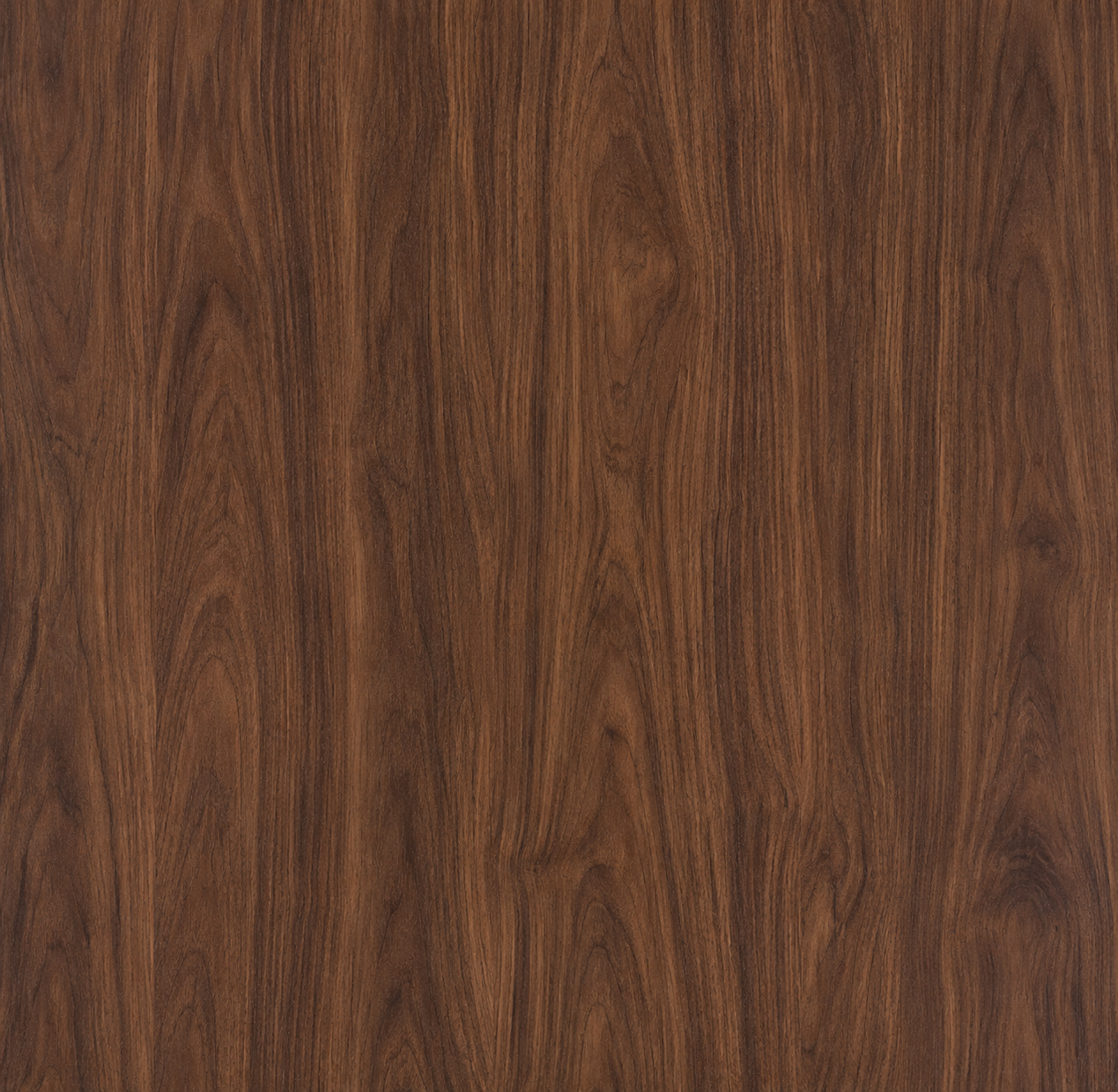 Classic Walnut Texture