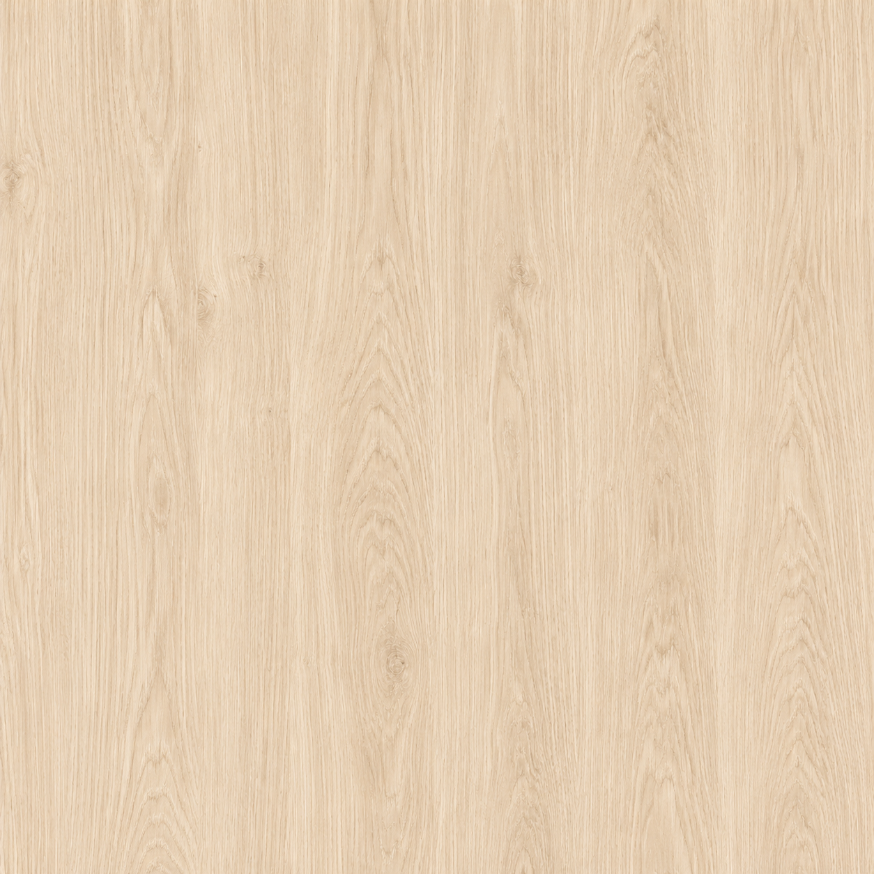 White Oak Texture